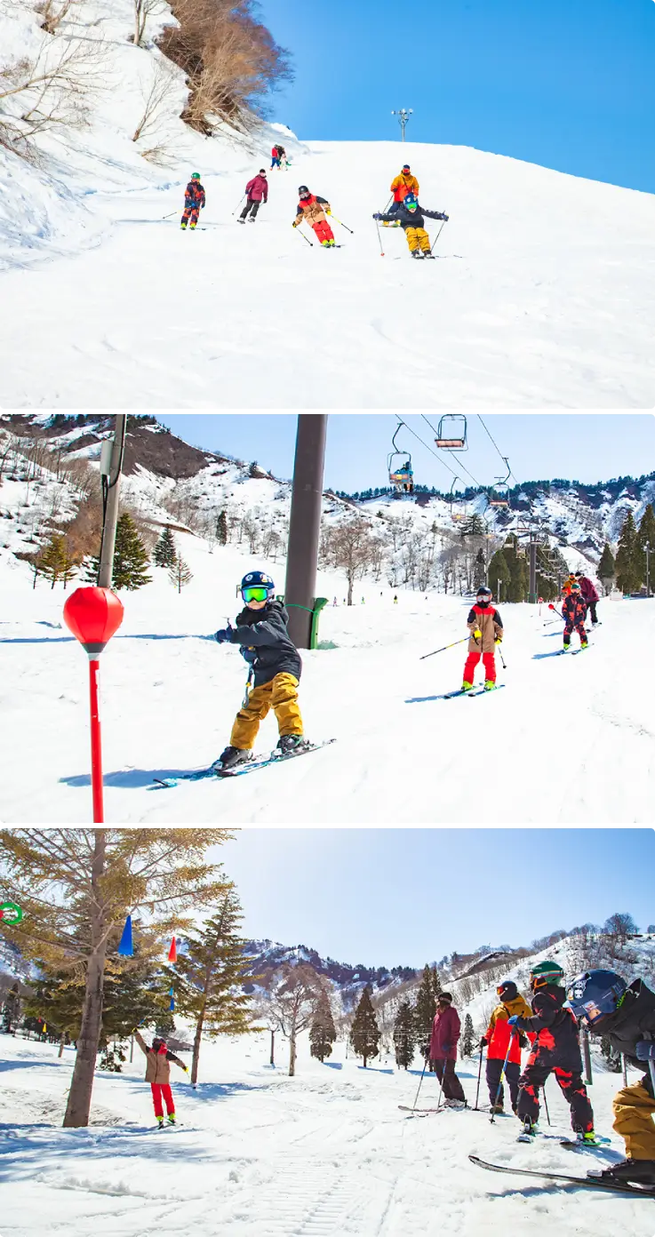 Children and adults skiing on various slopes at Yuzawa Nakazato Snow Resort.