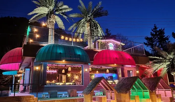 Yangyang Surf Lesson & Rental (Ingu Beach) (+ BBQ Dinner Party/ Pub Crawl)