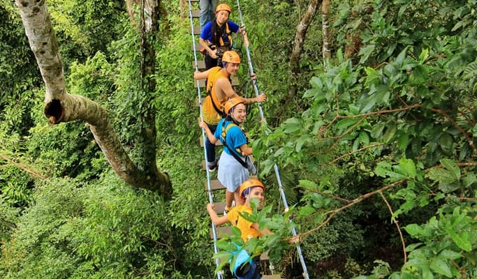 Flight of the Gibbon - Zipline Adventure from Pattaya