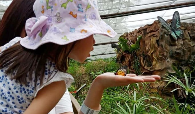 Kuala Lumpur Zoo Negara (National Zoo of Malaysia) (+ Giant Panda Conservation Center) Ticket