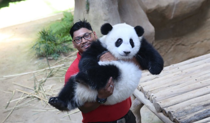 Kuala Lumpur Zoo Negara (National Zoo of Malaysia) (+ Giant Panda Conservation Center) Ticket