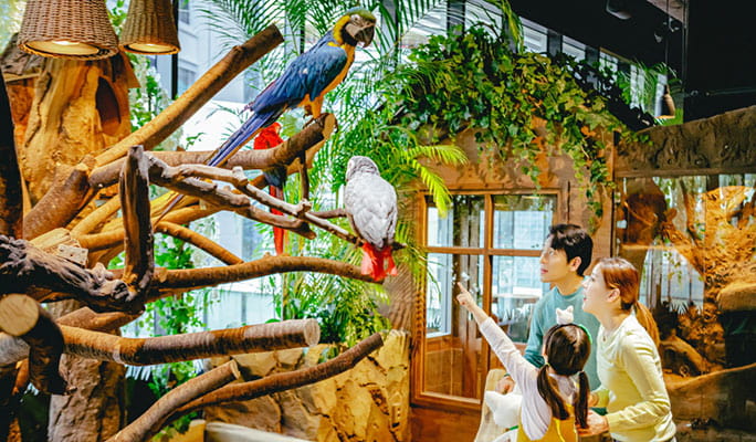Zoolung Zoolung 室內動物主題樂園優惠門票