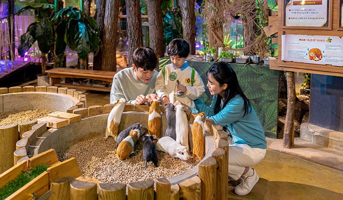 Zoolung Zoolung 室內動物主題樂園優惠門票