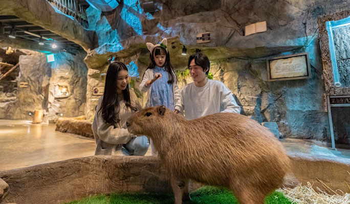 Zoolung Zoolung 室內動物主題樂園優惠門票