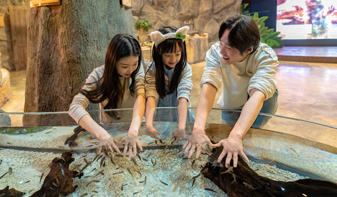 Zoolung Zoolung 室內動物主題樂園優惠門票