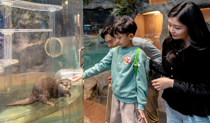 Zoolung Zoolung 室內動物主題樂園優惠門票